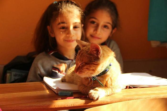 Öğrenciler Tombiye kavuştu