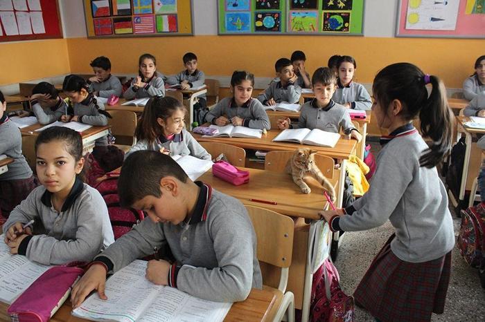 Öğrenciler Tombiye kavuştu