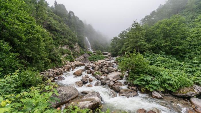 Rize