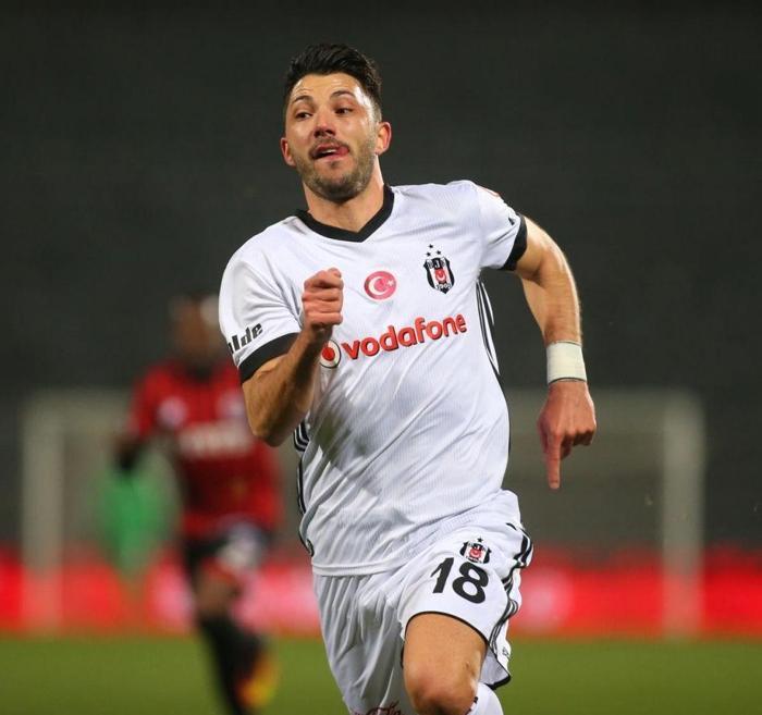(Tolgay)
