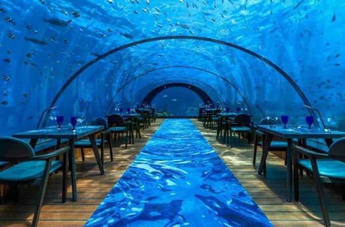 Denizin altında sıra dışı restoran