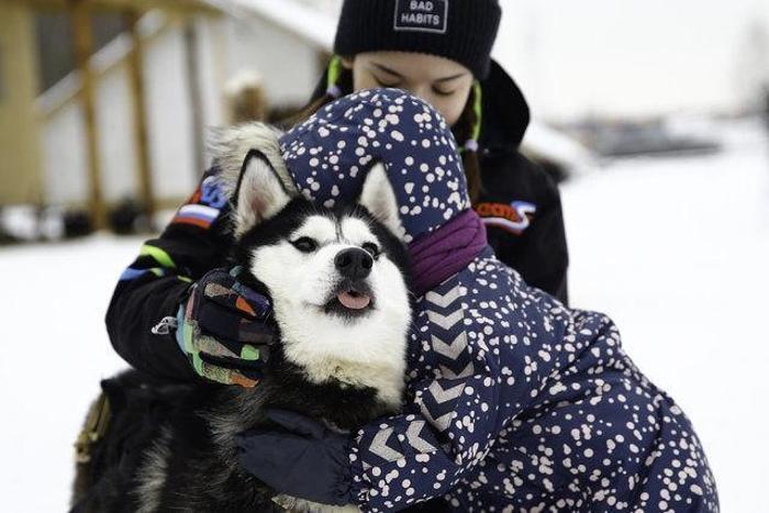 Husky Parka yoğun ilgi