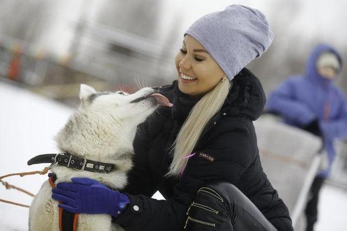 Husky Parka yoğun ilgi