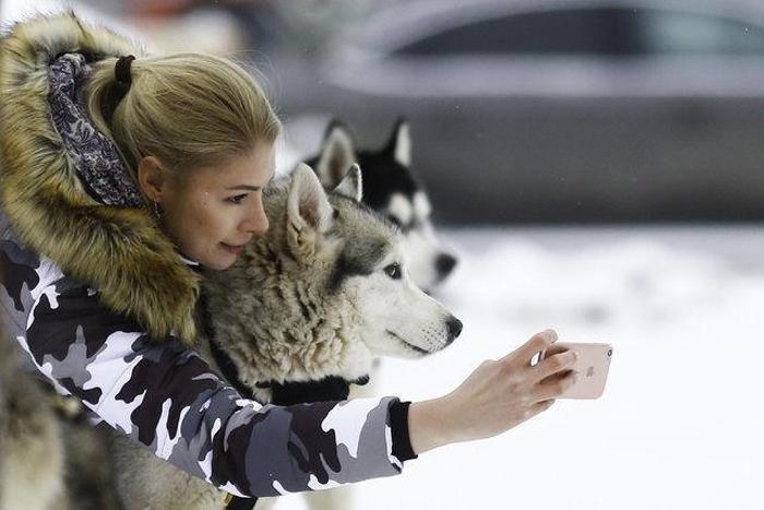 Husky Parka yoğun ilgi