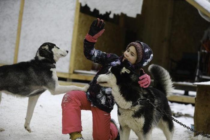 Husky Parka yoğun ilgi