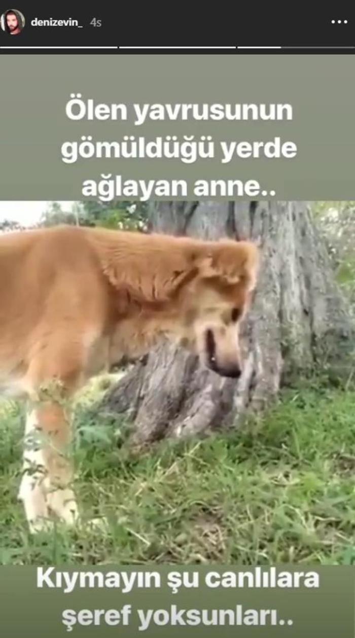 Ömür Gedik: Acun da tehlike altında...