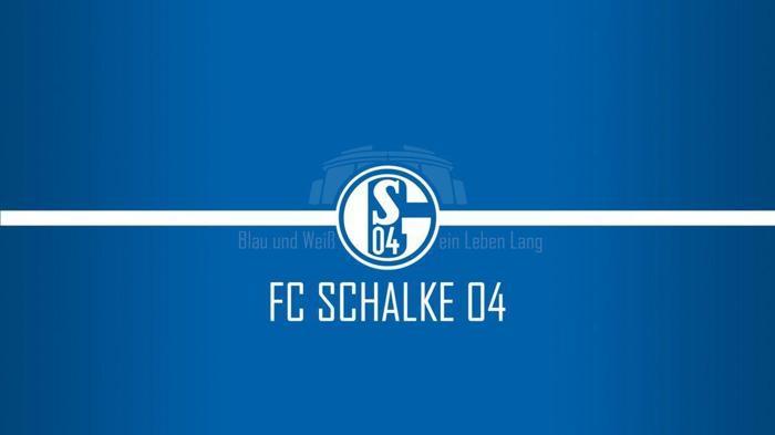 25) Schalke 04