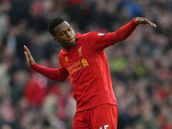 FENERİN STURRIDGE KOZU HAZIR
