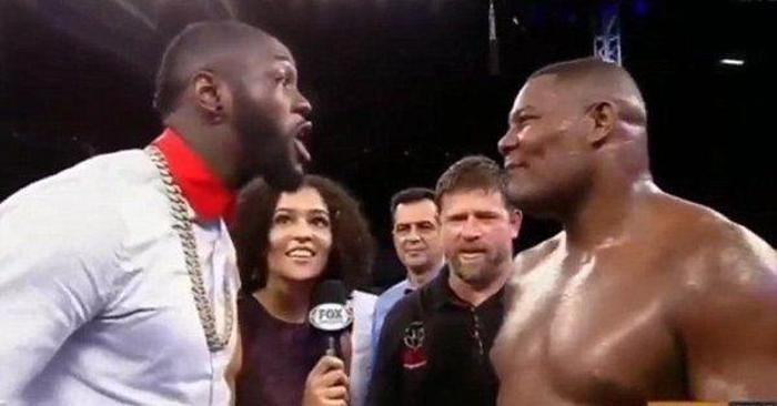 Deontay Wilder ringe daldı, Luis Ortize meydan okudu