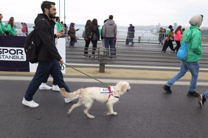 İstanbul Maratonuna damga vuran kareler...