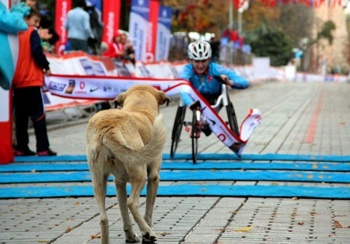 İstanbul Maratonuna damga vuran kareler...
