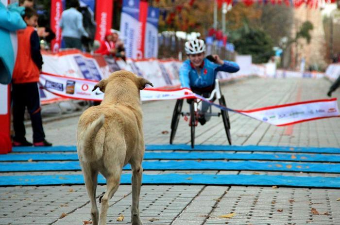 İstanbul Maratonuna damga vuran kareler...