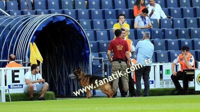 Fenerbahçe-Vardar maçında dikkat çeken detay