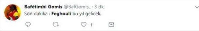 Kayıp aranıyor: Feghouli