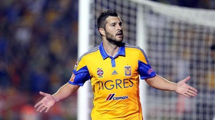 Şenol Güneş istedi Andre Pierre-Gignac Gelirim dedi