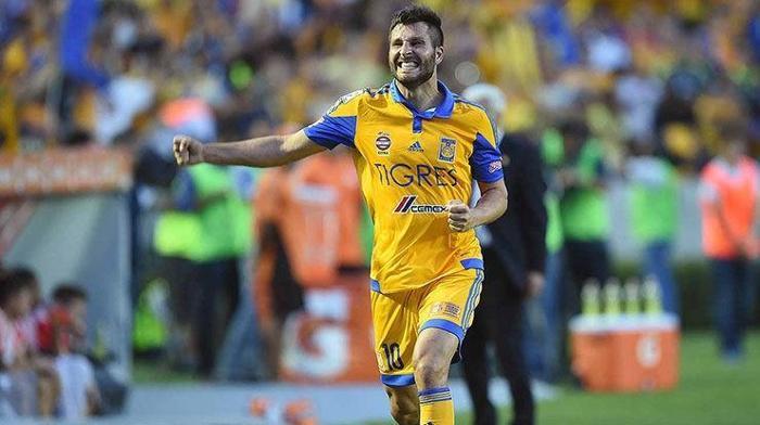 Şenol Güneş istedi Andre Pierre-Gignac Gelirim dedi