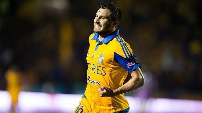 Şenol Güneş istedi Andre Pierre-Gignac Gelirim dedi