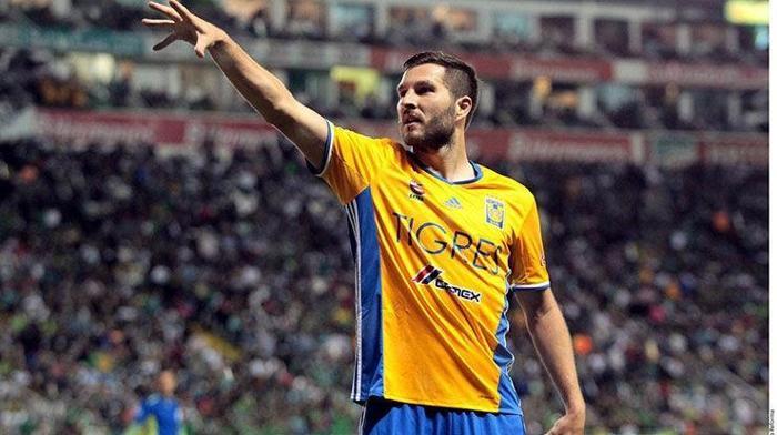 Şenol Güneş istedi Andre Pierre-Gignac Gelirim dedi