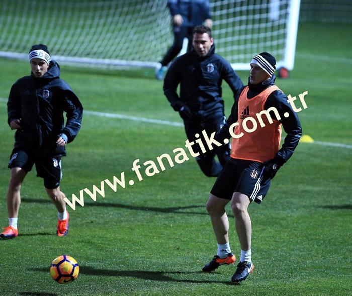 Mitrovic sahaya indi