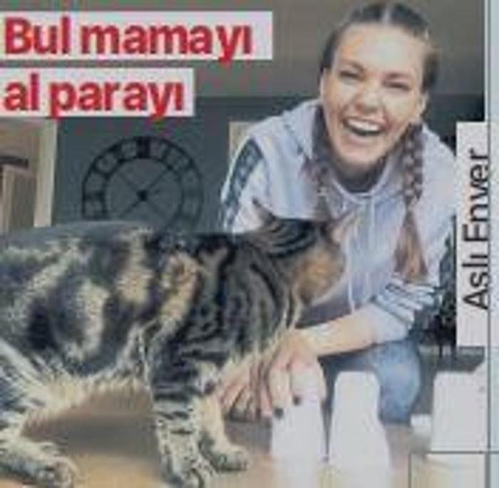 Bul mamayı al parayı