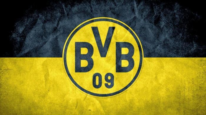 14) Borussia Dortmund