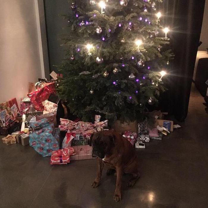 Futbolcuların Noel paylaşımları...