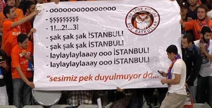 BOZ BAYKUŞLAR