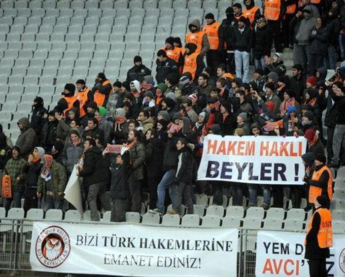 BOZ BAYKUŞLAR