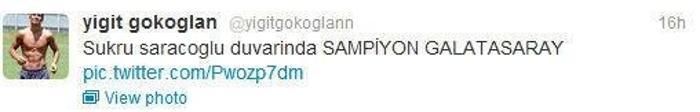 Yiğit Gökoğlan