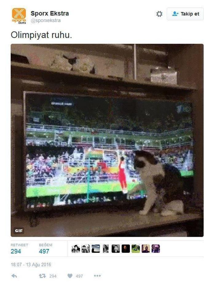 Olimpiyatlar Hakkındaki Tweetleriyle Mizah Dalında Altın Madalyayı Hak Eden 17 Kişi