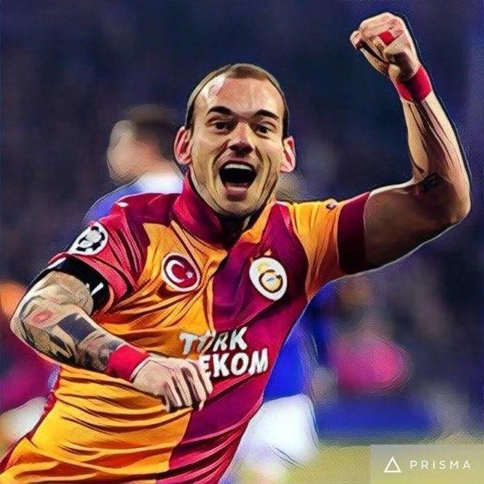 WESLEY SNEIJDER
