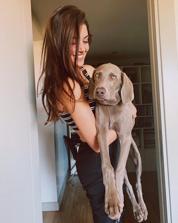 Hande’nin hayvan sevgisi