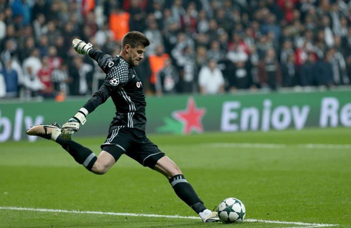 Fabri
