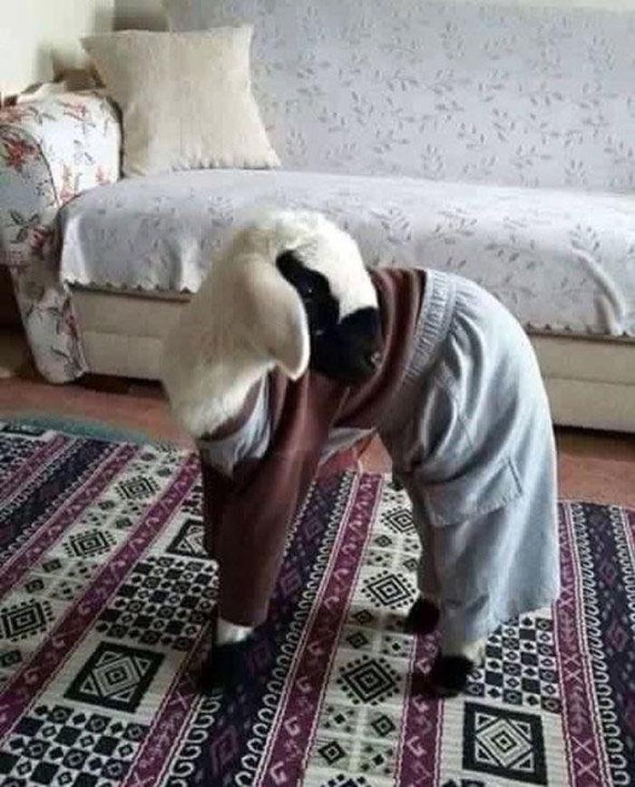 Anlamsız fotoğraflar