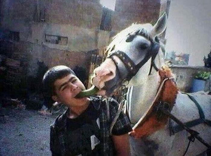 Anlamsız fotoğraflar