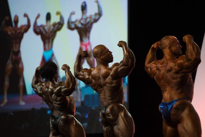 Arnold Classicten renkli kareler