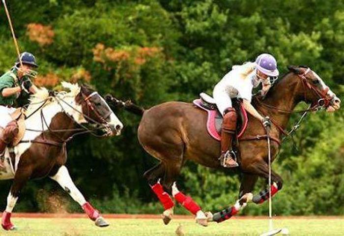 POLO SPORU