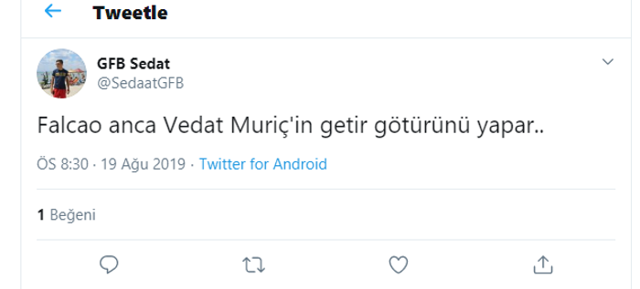 Vedat Muriç attı, Fenerbahçe taraftarı çıldırdı