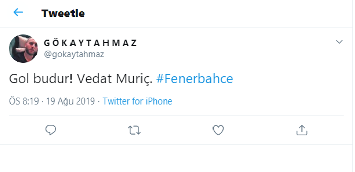 Vedat Muriç attı, Fenerbahçe taraftarı çıldırdı