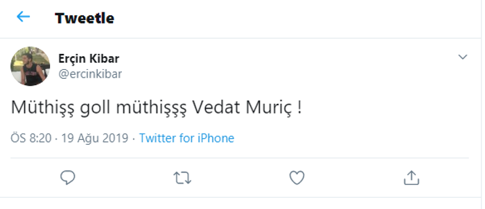 Vedat Muriç attı, Fenerbahçe taraftarı çıldırdı