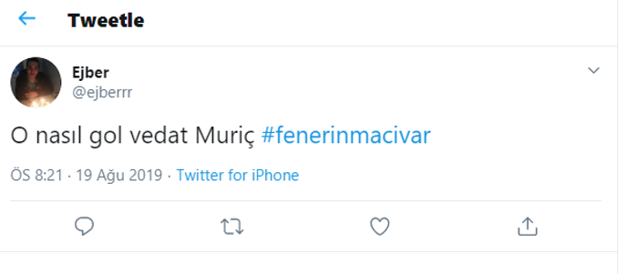 Vedat Muriç attı, Fenerbahçe taraftarı çıldırdı