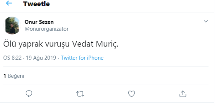 Vedat Muriç attı, Fenerbahçe taraftarı çıldırdı