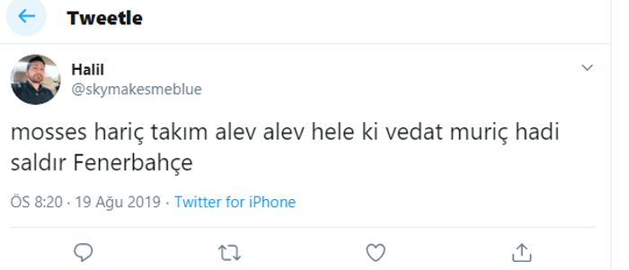 Vedat Muriç attı, Fenerbahçe taraftarı çıldırdı