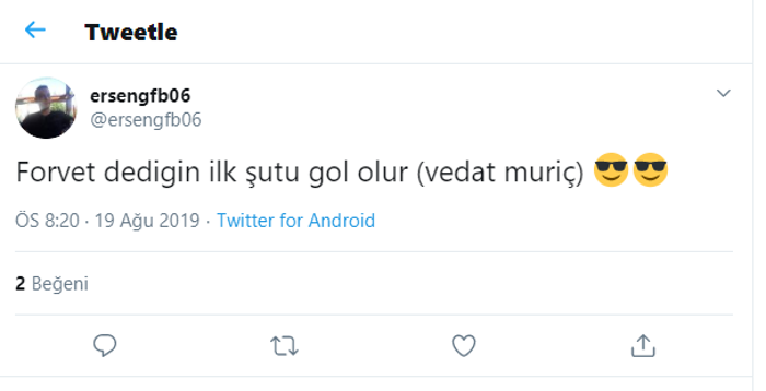 Vedat Muriç attı, Fenerbahçe taraftarı çıldırdı