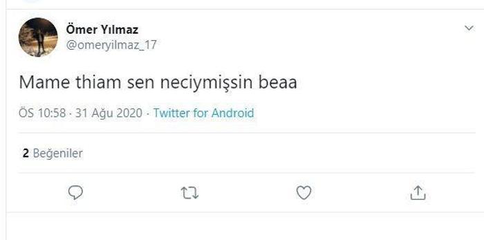 Mame Thiam hat-trick yaptı, Fenerbahçe taraftarı mest oldu