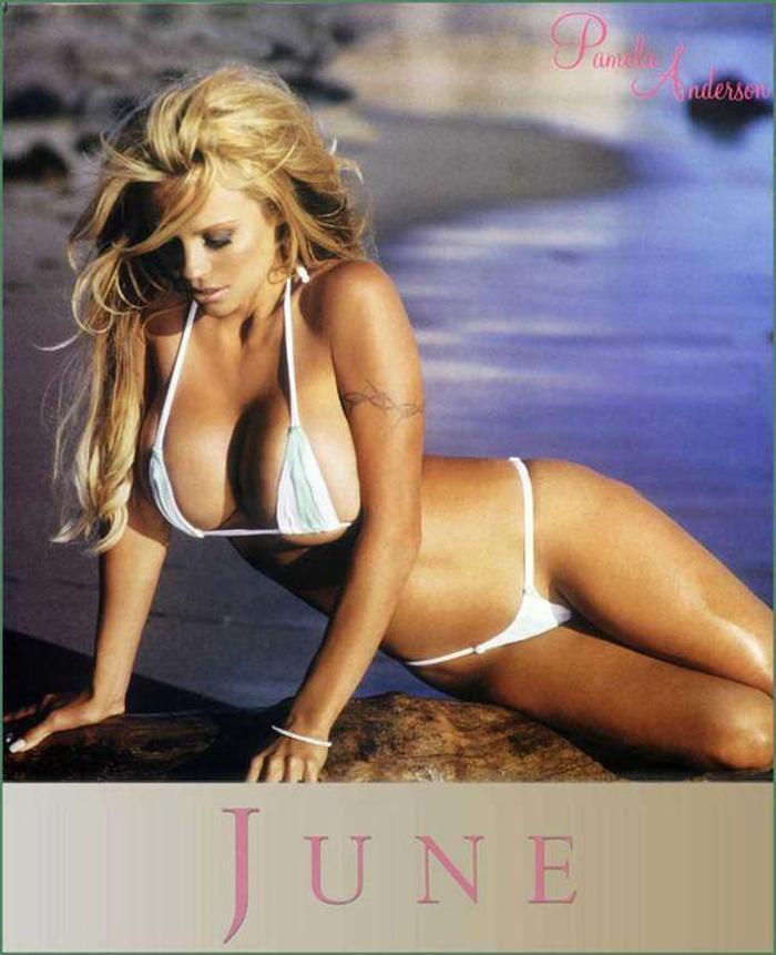 Pamela Anderson: #MeToo hareketi aşırıya kaçtı