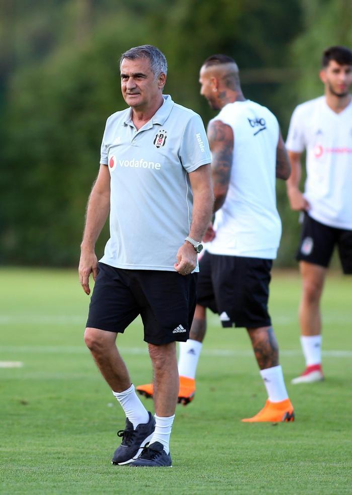 Şenol Güneşten 112 milyon euro