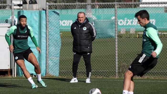 TERİMİ ASTILAR