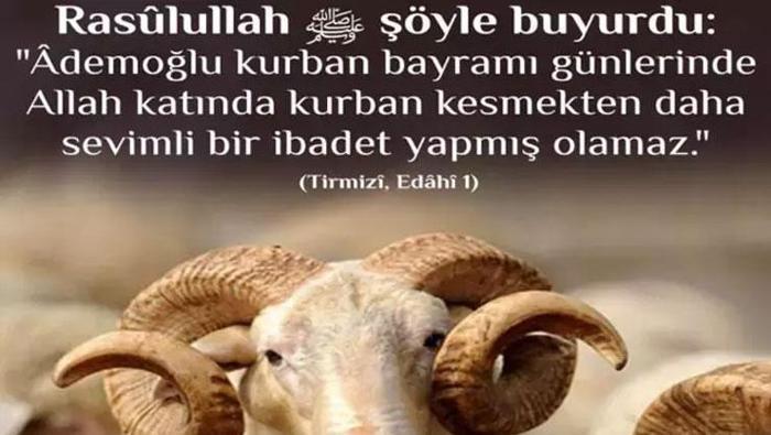 KURBAN BAYRAMI MESAJLARI EN YENİ | Resimli Bayram Mesajları 🤲 Aileye, akrabaya, arkadaşa, sevgiliye, en anlamlı dualı, WhatsApp bayram mesajları, dualı, en yeni bayram mesajları