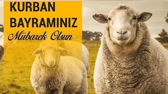 KURBAN BAYRAMI MESAJLARI EN YENİ | Resimli Bayram Mesajları 🤲 Aileye, akrabaya, arkadaşa, sevgiliye, en anlamlı dualı, WhatsApp bayram mesajları, dualı, en yeni bayram mesajları